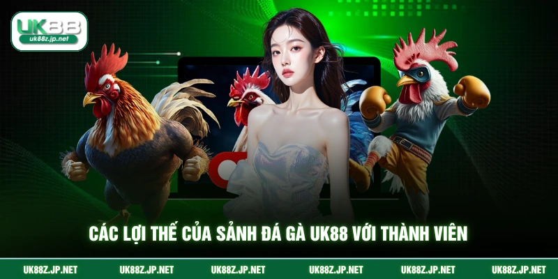 Các lợi thế của sảnh đá gà UK88 với thành viên
