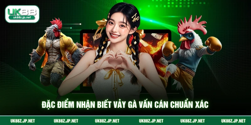 Đặc điểm nhận biết vảy gà vấn cán chuẩn xác