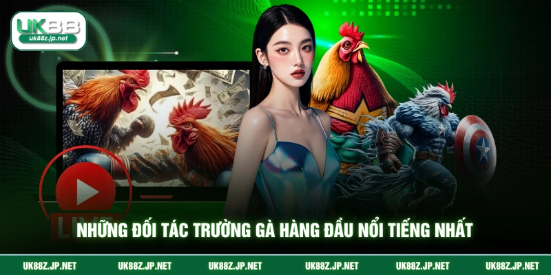 Những đối tác trường gà hàng đầu nổi tiếng nhất