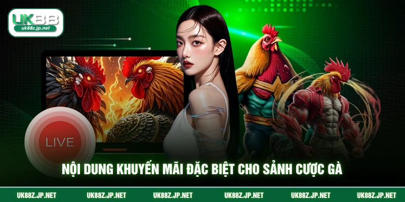 Nội dung khuyến mãi đặc biệt cho sảnh cược gà