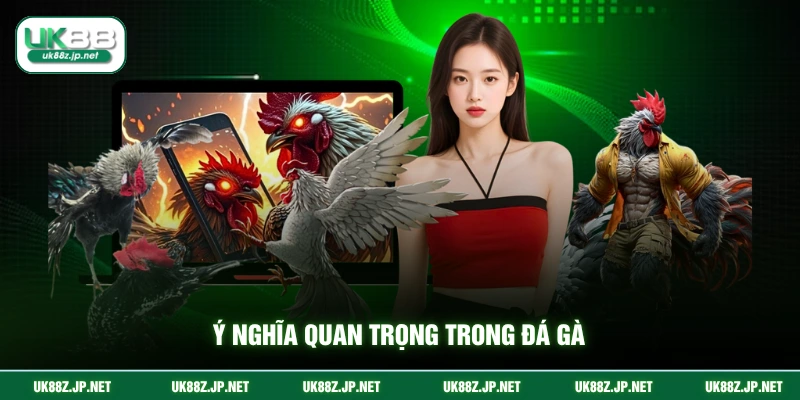 Ý nghĩa quan trọng trong đá gà
